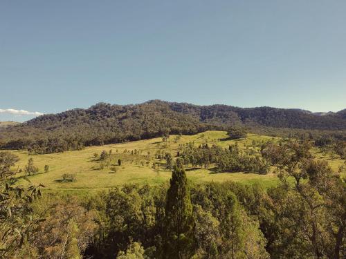 a view of a field with trees on a hill at RIVERLEA RETREAT MUDGEE - Private, Outdoor Bath, Pool, Tranquility in Apple Tree Flat