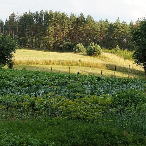 Warmińskie Uroczysko – Photos 3