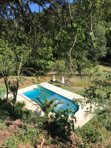 una piscina en medio de un bosque en Cabañas Villa Luz en Salsipuedes