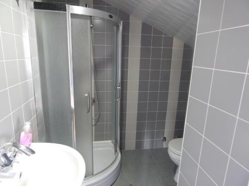 a bathroom with a shower and a sink and a toilet at Zandarashvili Guest House in Sighnaghi