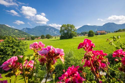 a field of flowers with mountains in the background at Ferienwohnung Hörndlwand Ruhpolding in Ruhpolding