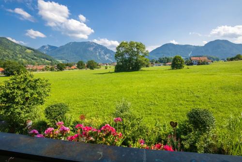 a field of flowers with mountains in the background at Ferienwohnung Hörndlwand Ruhpolding in Ruhpolding