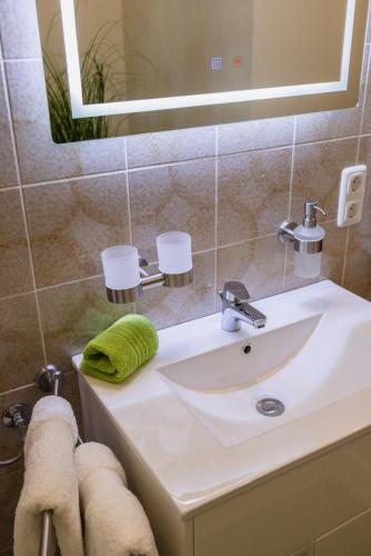 a bathroom with a sink and a mirror at Ferienwohnung Hörndlwand Ruhpolding in Ruhpolding