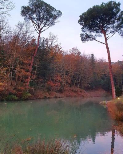 Paisaje cerca of this country house
