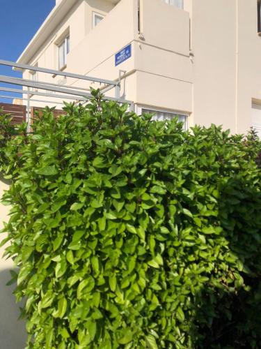 Το κτήριο όπου στεγάζεται  το διαμέρισμα