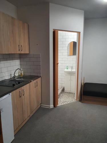 a kitchen with a sink and a door to a bathroom at Sveciu Namai Giles in Alytus