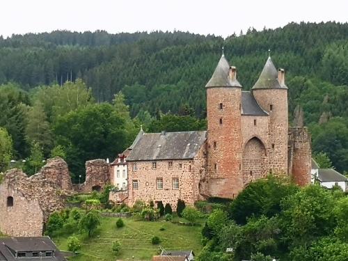 an old castle in the middle of a forest at Mooi ruim appartement in antieke stadsboerderij in Schönecken