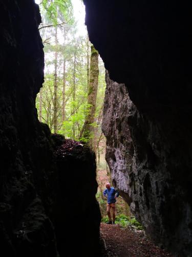 a man standing inside of a cave in the woods at Mooi ruim appartement in antieke stadsboerderij in Schönecken
