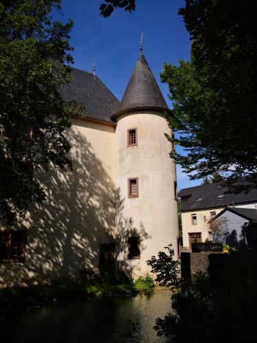 a large building with a tower on top of it at Mooi ruim appartement in antieke stadsboerderij in Schönecken