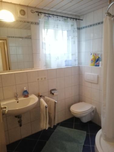 a bathroom with a sink and a toilet and a shower at Ferienwohnung am Bodensee- Preiswert in Überlingen