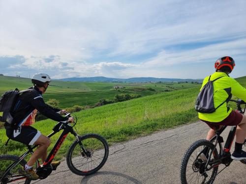 Agriturismo Essentia dimora ruraleの敷地内または近くで楽しめるサイクリング