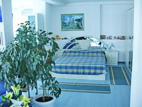 a bedroom with a bed and a potted plant at Hotel Rai in Obrochishte