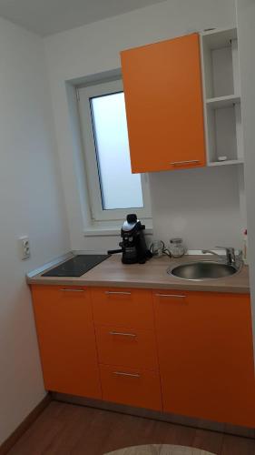 Køkken eller tekøkken på Apartament 2 Budiu