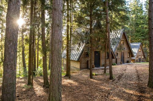 uma cabana na floresta com muitas árvores em Hotel Kouty em Ledec nad Sázavou