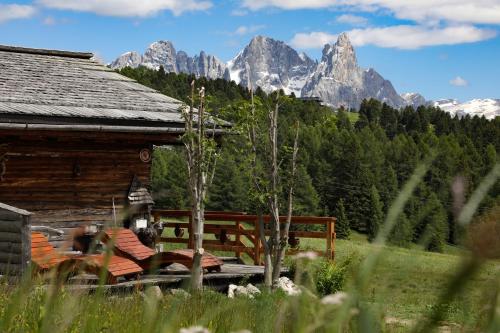 a log cabin with two benches and mountains in the background at Baita Medil in Predazzo