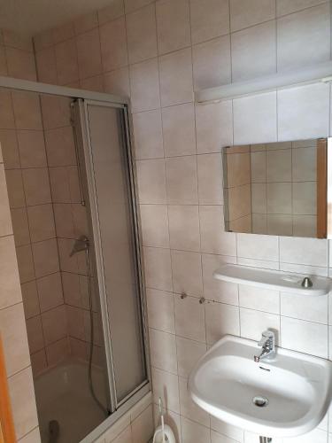 a bathroom with a sink and a shower at Pension Stettiner Hof in Eggesin