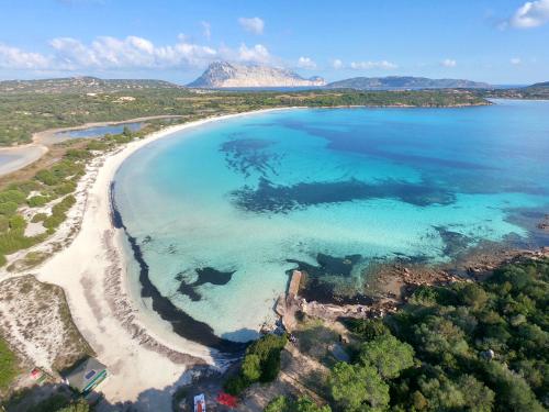 an aerial view of a beach and the ocean at ISS Travel, L'Uddastru Panoramic Apartments - with private outdoor terrace in San Teodoro