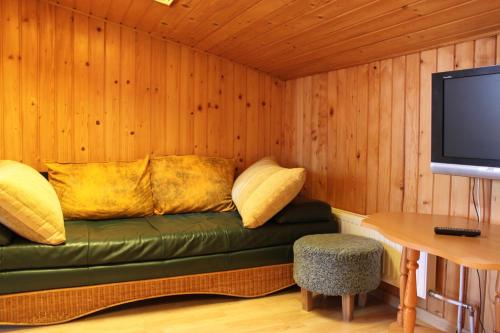 Habitación con sofá verde con almohadas y TV. en Jauku Erdvu Šilta, en Kaunas