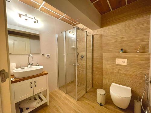uma casa de banho com um chuveiro, um lavatório e um WC. em Ran suites em Mas'ada