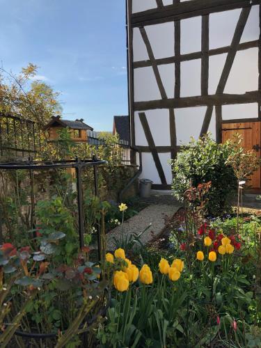 a garden with yellow flowers in front of a building at Gut Bunt Ferienhaus in Runkel