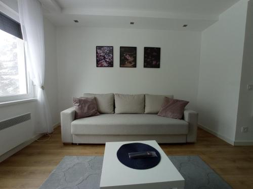 a living room with a couch and a table at Apartmani Šišarka in Kopaonik