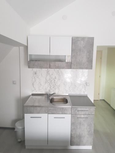a white kitchen with a sink and a toilet at Family Apartmani Le in Leskovac