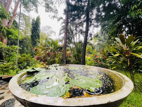 a large bird bath with water in a garden at Whispering House in Tangalle