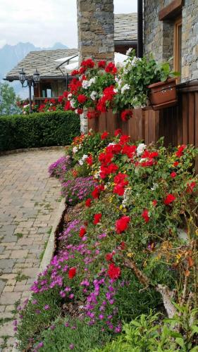 a garden of flowers in front of a house at Les Combes in La Salle