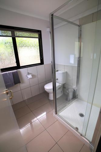 a bathroom with a shower and a toilet at Palm City Motor Inn in Napier