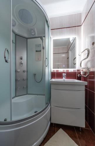 a bathroom with a shower and a sink and a mirror at Modern 3 bedroom apartment in Kyiv