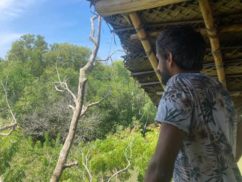 a man standing under a roof looking at a tree at The Alpha Monkey hotel & Tree house in Tangalle