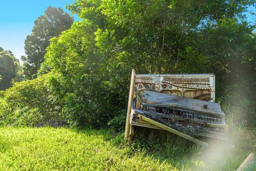 a bench sitting in the grass in a field at Coorabell Estate in Coorabell Creek