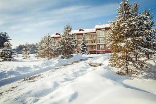 a resort in the snow with snow covered trees at Sanatoriy Elektra in Tal'tsy