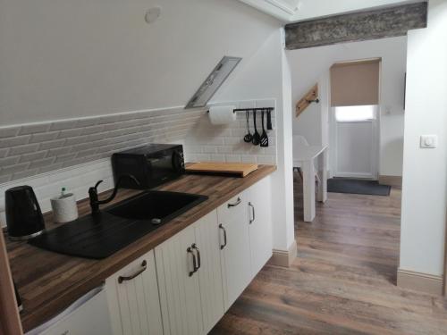 uma cozinha com um lavatório e um balcão em "Le Rooftop de la fontaine" dans cadre verdoyant em Luisant
