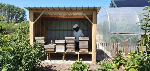 a man standing in a container in a greenhouse at De Weitens Valkenswaard in Valkenswaard