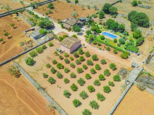 an aerial view of a house with trees and a yard at Villa Son Fullos in Santa Margalida