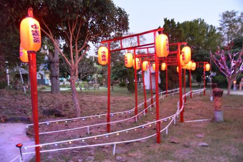 a row of orange lanterns in a park at ฺBaan Rai Ing Doi in Chaiyaphum