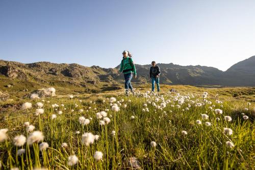 two people walking through a field of white flowers at Saibatenhof in Hainzenberg