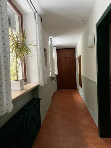 a hallway with a door and a potted plant at Ferienwohnungen Reiteralpe in Ramsau