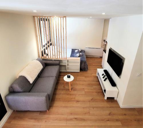 ein Wohnzimmer mit einem Sofa und einem TV in der Unterkunft Grand Studio Aiguille du Midi et vue Mont Blanc in Chamonix-Mont-Blanc