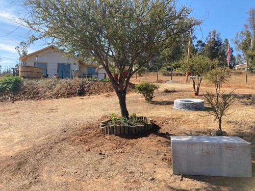 a tree in the middle of a dirt field at CABAÑA DE CAMPO in Cuncumén