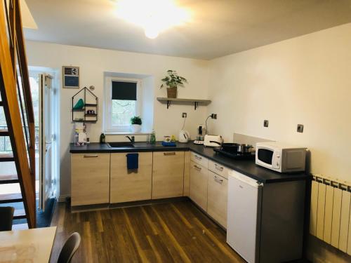 a kitchen with a sink and a microwave at Les gîtes de Joséphine proche Chambord in Courbouzon