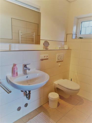 a bathroom with a sink and a toilet at Haus Schäfer in Menzenschwand
