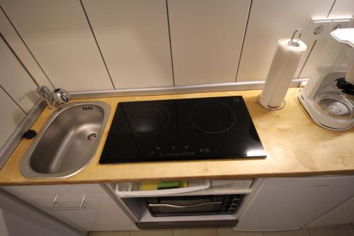 - un comptoir de cuisine avec un four micro-ondes et un évier dans l'établissement Gonsbach - Mikro-Apartment-26qm, à Mayence