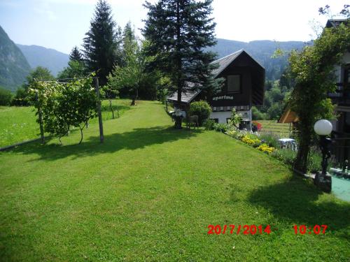 a large yard with a house and a house with a yard at Holiday Home Pri Srni in Bohinj