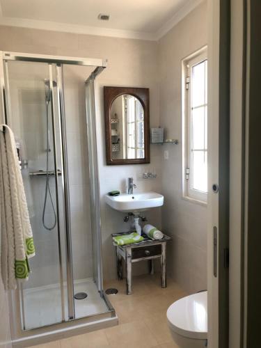 uma casa de banho com um chuveiro e um lavatório. em vivenda descollaz em Falcoeiras