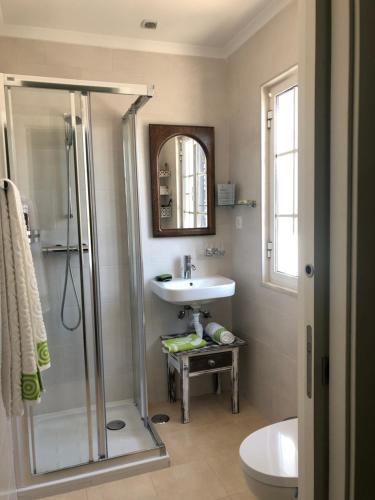 a bathroom with a shower and a sink at vivenda descollaz in Falcoeiras
