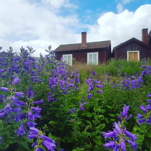 Jardín al aire libre en Lövånger Kyrkstad