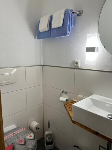a bathroom with a sink and a mirror at Gasthof Löwen in Pfronten