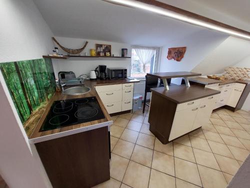 a kitchen with a stove and a sink in it at Gäste und Geschäftswohnung Stolle in Bad Dürrenberg